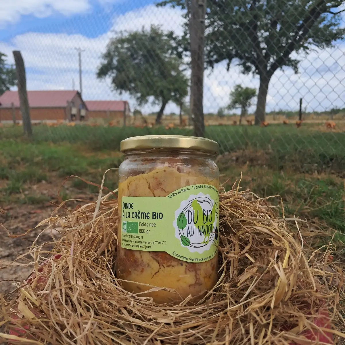 Dinde à la crème