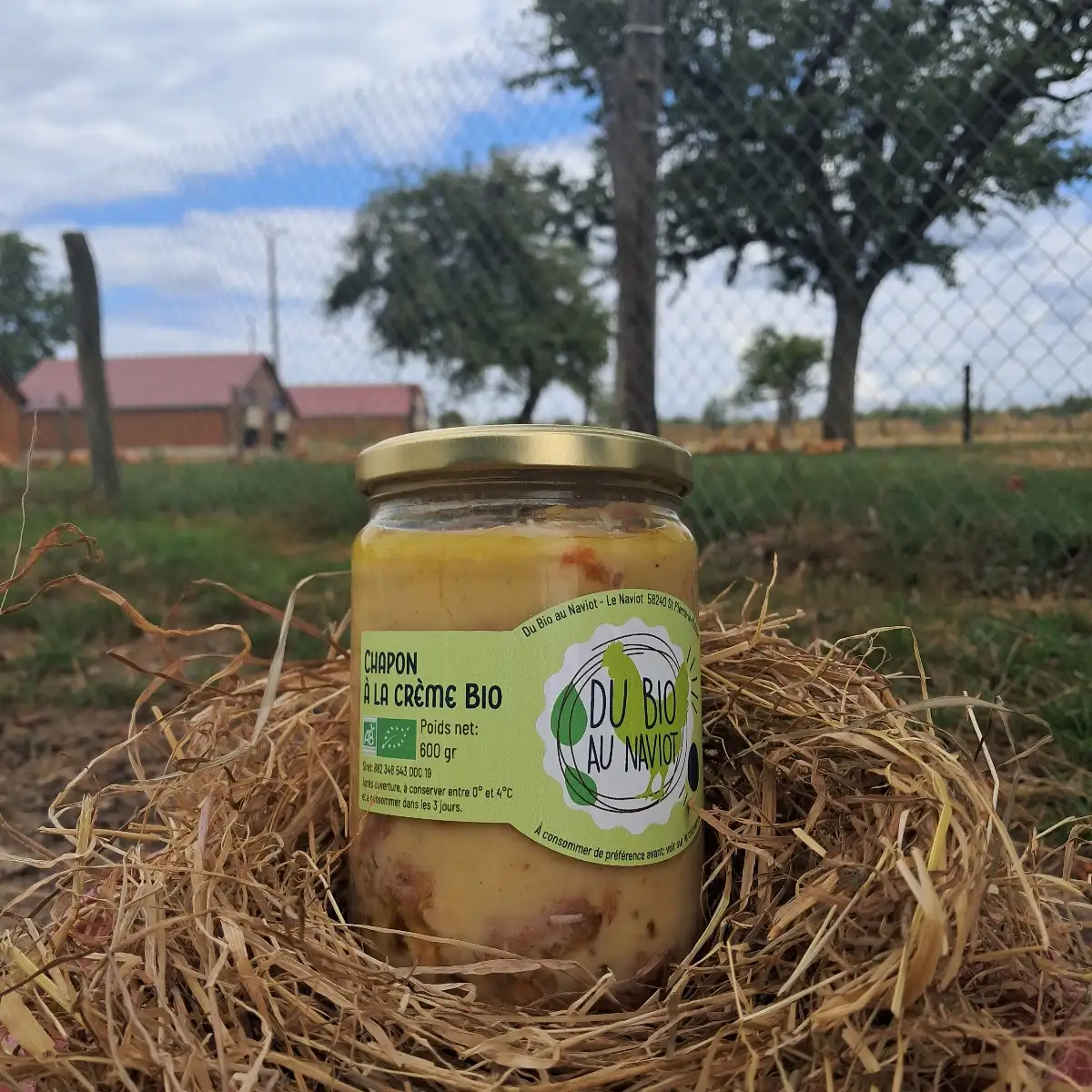 Chapon à la crème