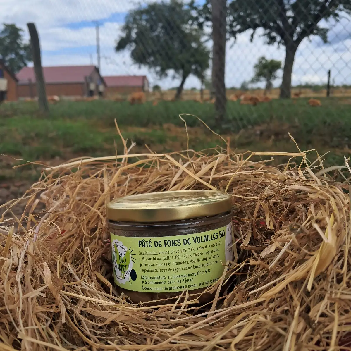 Pâté de foies de volailles