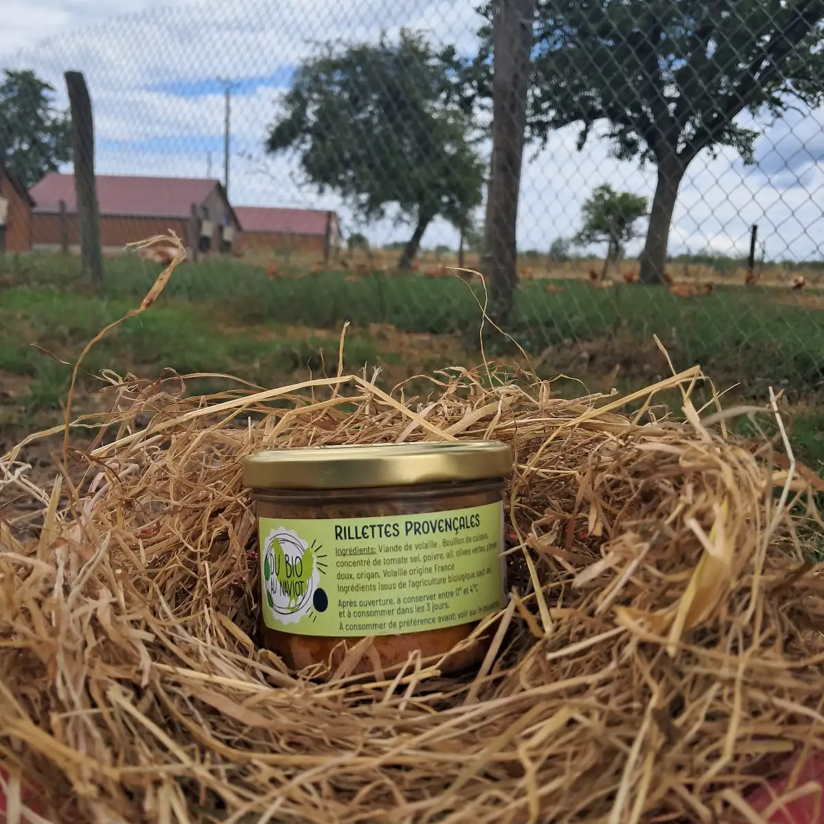 RILLETTE A LA PROVENCALE